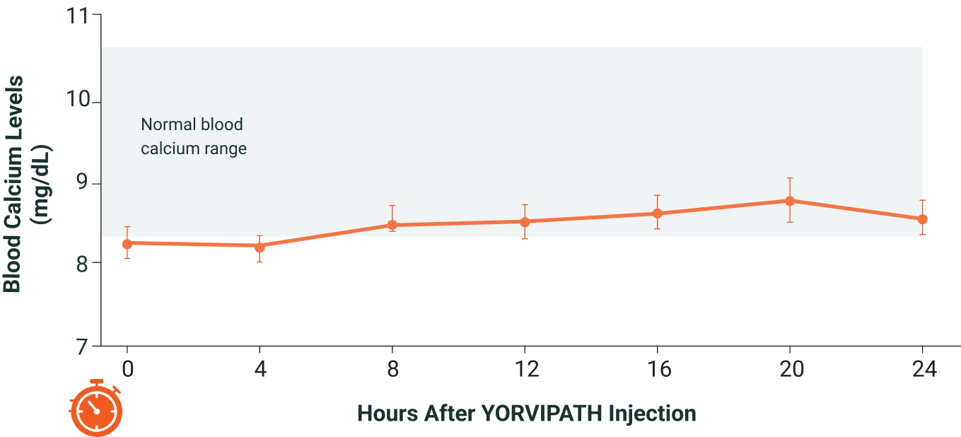 YORVIPATH Works Graph